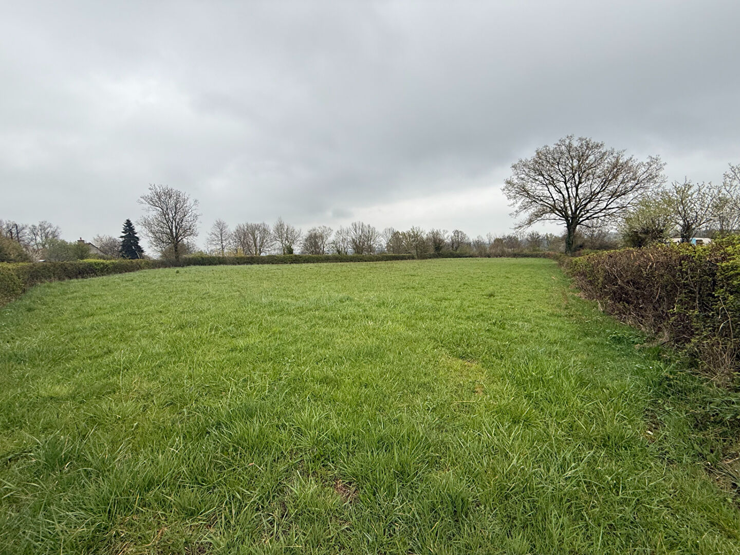 Agence immobilière de MOULINS IMMOBILIER