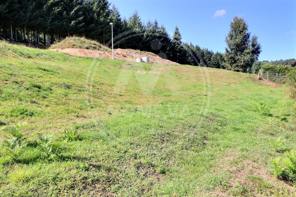 Agence immobilière de NOMEVA Immobilier Montfaucon en velay - NOMÉVA Immobilier