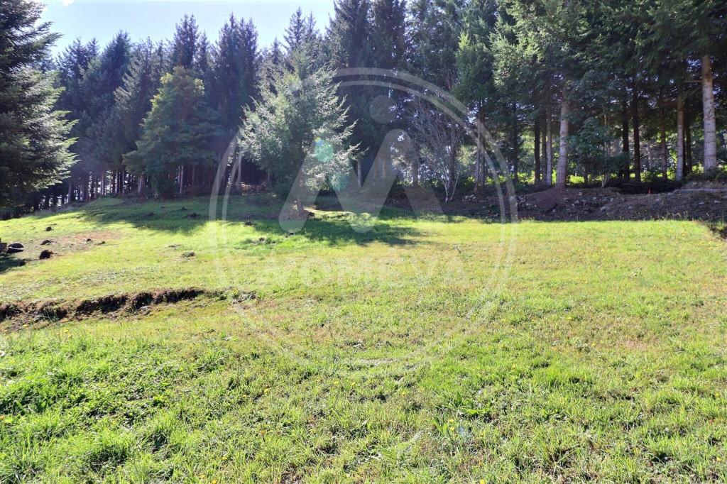 Agence immobilière de NOMEVA Immobilier Montfaucon en velay - NOMÉVA Immobilier