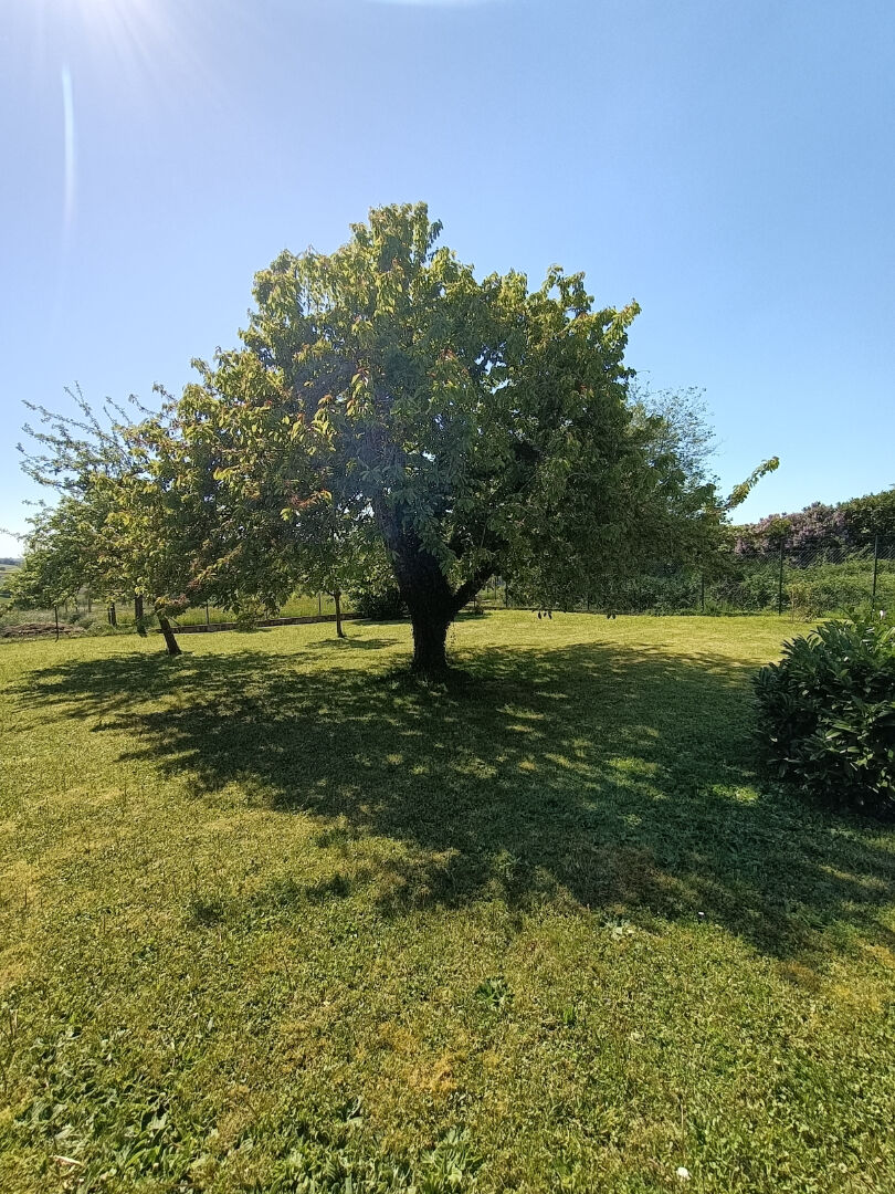 Photo EXCLUSIVITÉ - Propriété de caractère image 6/6