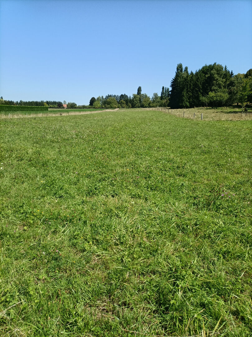 Holving - Terrain constructible 38,26 ares