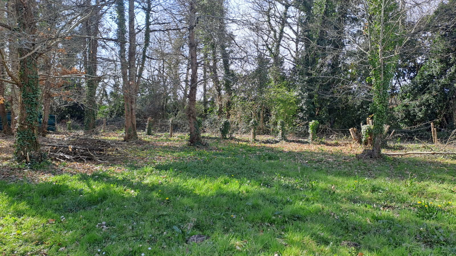 Photo ST-PALAIS SUR MER image 2/3