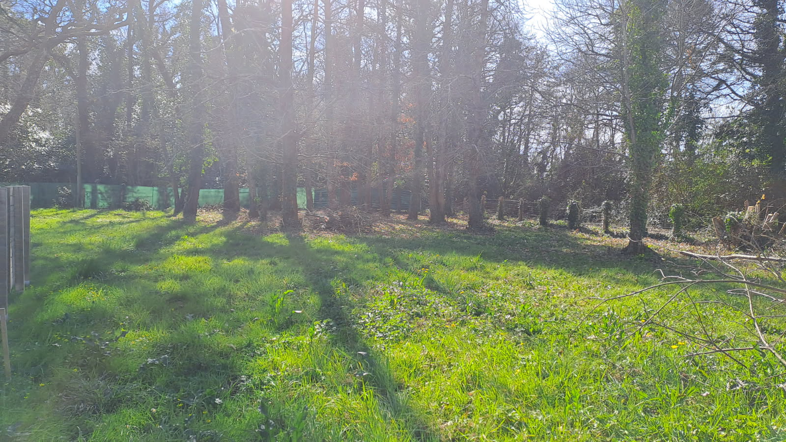 Photo ST-PALAIS SUR MER image 3/3