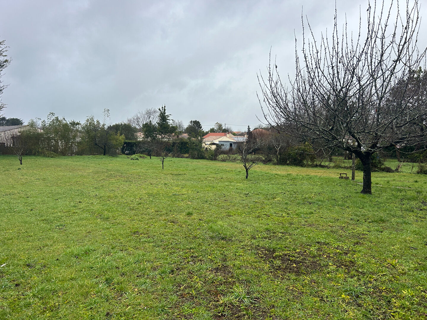 Agence immobilière de NOUVELLE AGENCE CHARRY - NOUVELLE AGENCE CHARRY