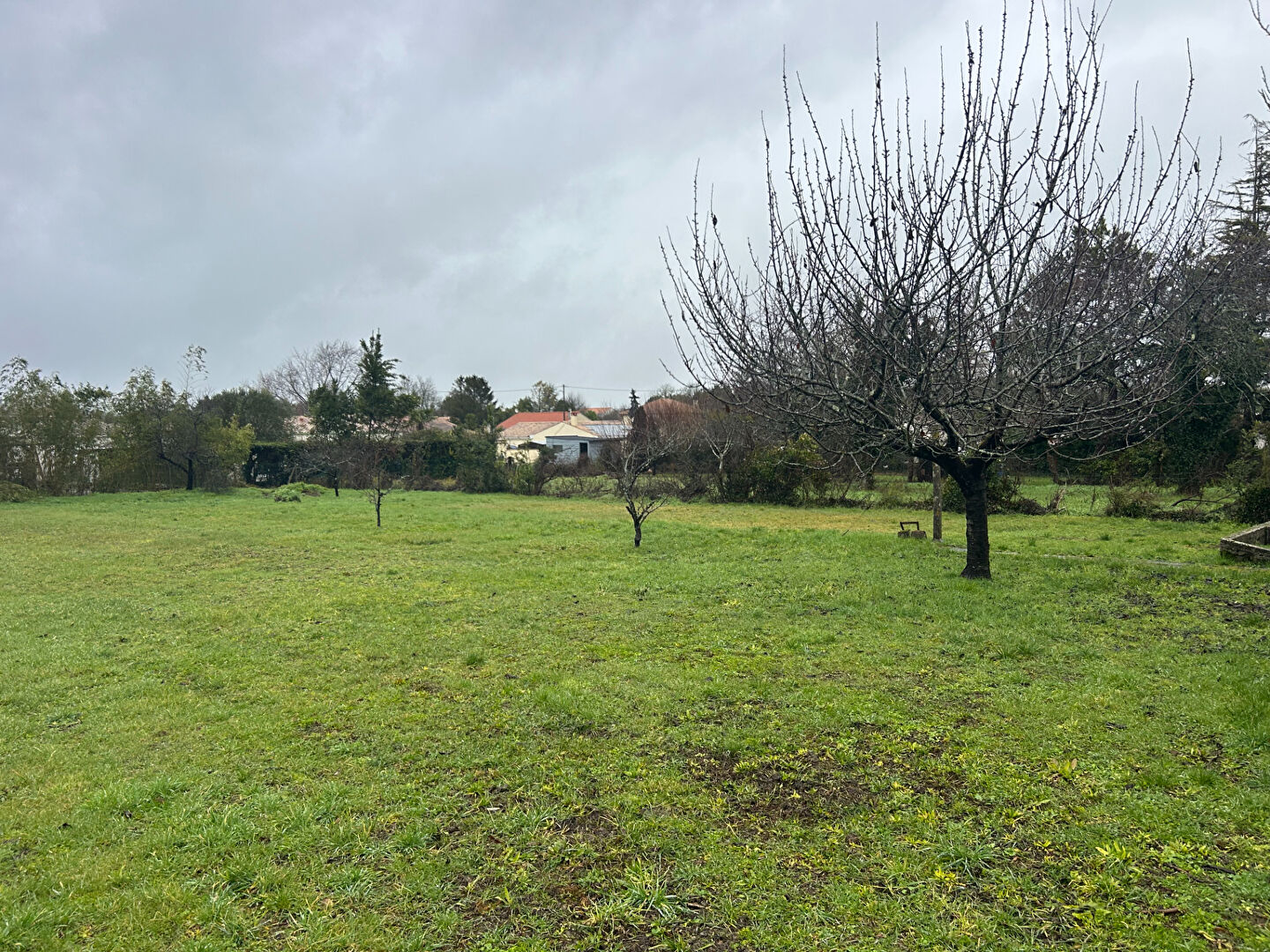 Agence immobilière de NOUVELLE AGENCE CHARRY - NOUVELLE AGENCE CHARRY