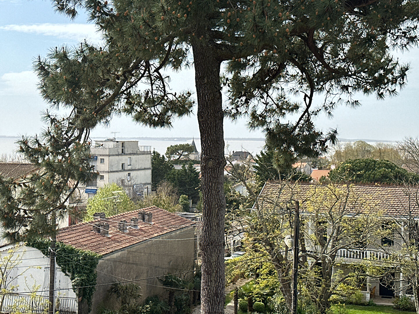 Agence immobilière de OFFICE DE LA PROPRIETE Royan - OFFICE DE LA PROPRIÉTÉ