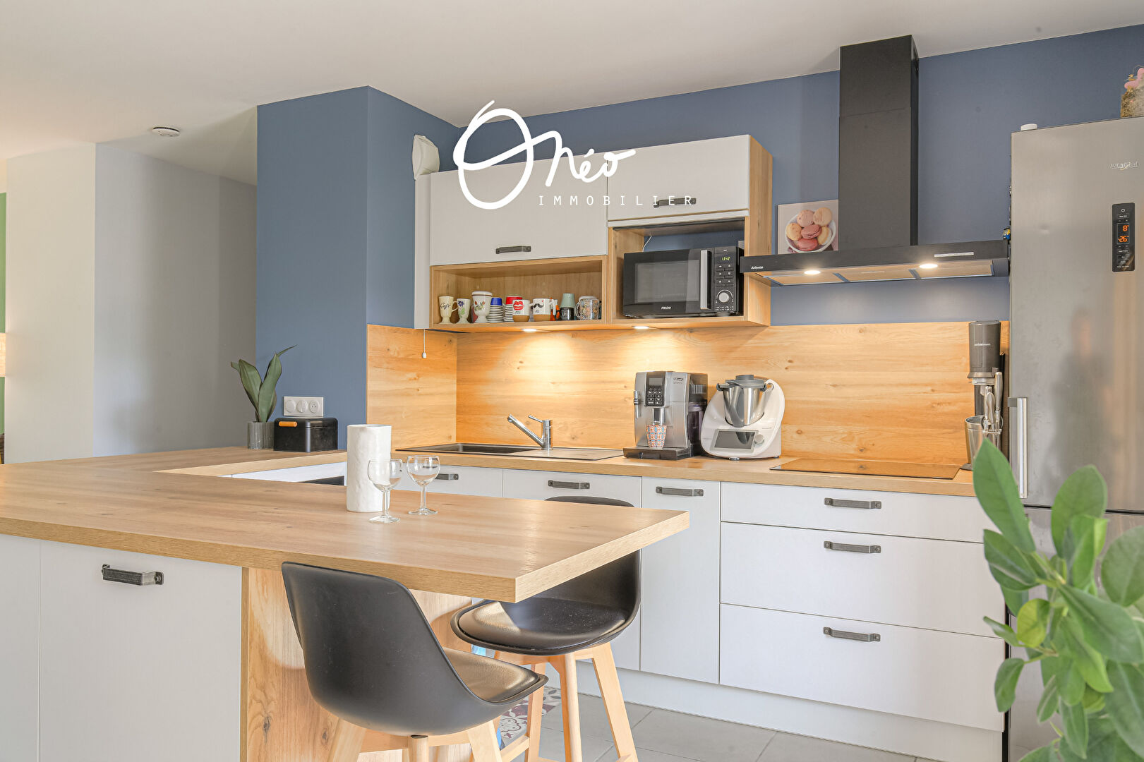 Photo Appartement Saint Priest Traversant double terrasse image 4/6