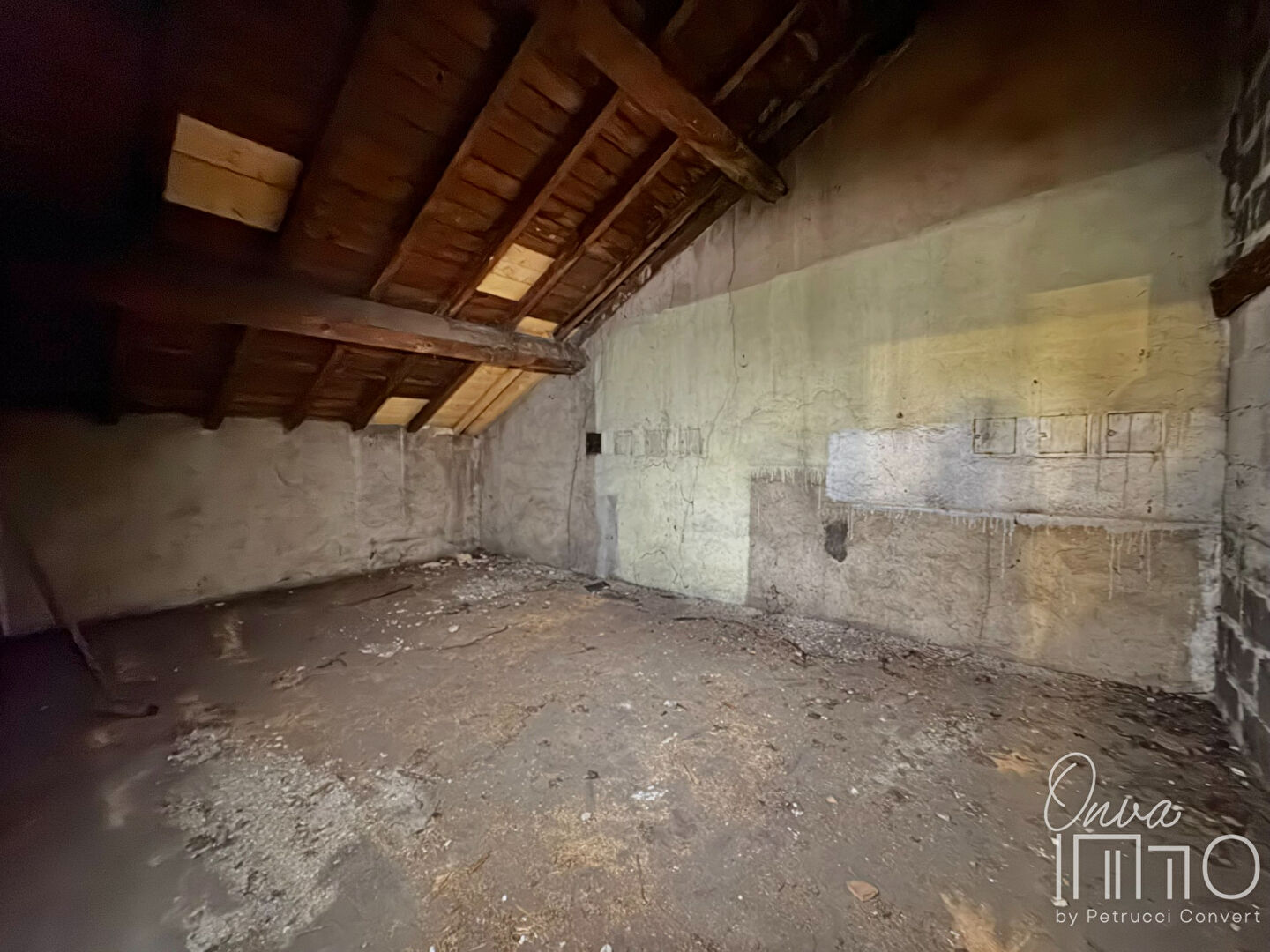 Agence immobilière de Only immo Villeurbanne