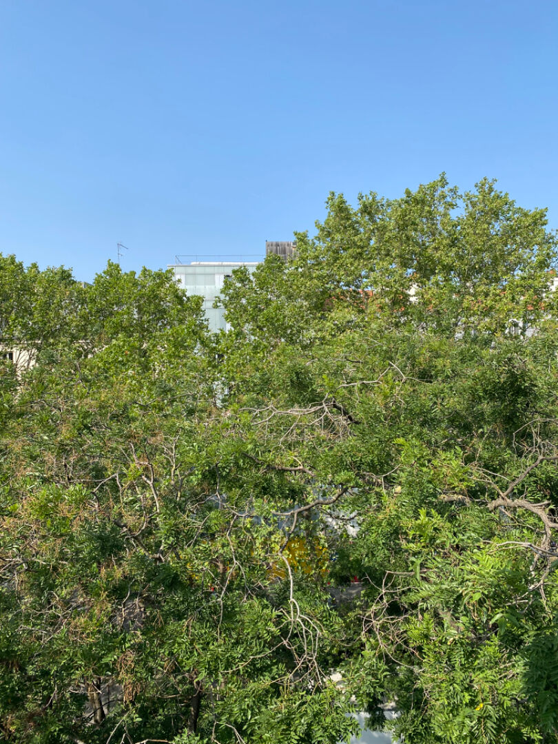 Agence immobilière de ORIEL IMMOBILIER Paris - ORIEL IMMOBILIER