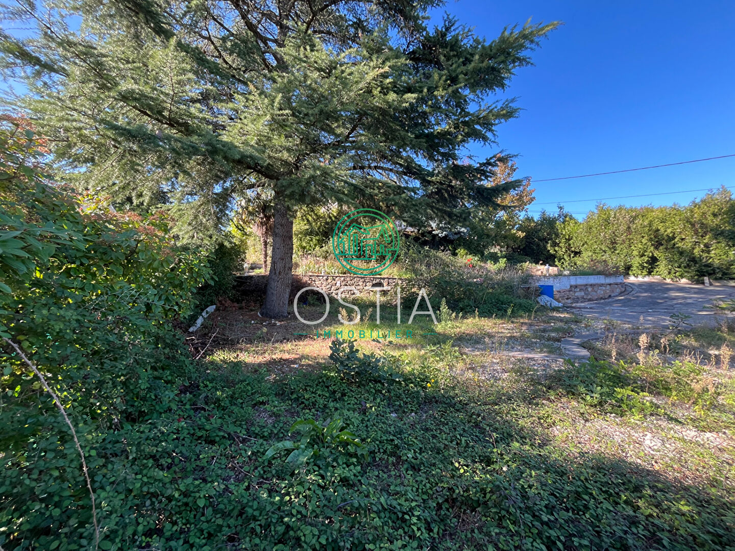 Agence immobilière de OSTIA IMMOBILIER - OSTIA IMMOBILIER SAS