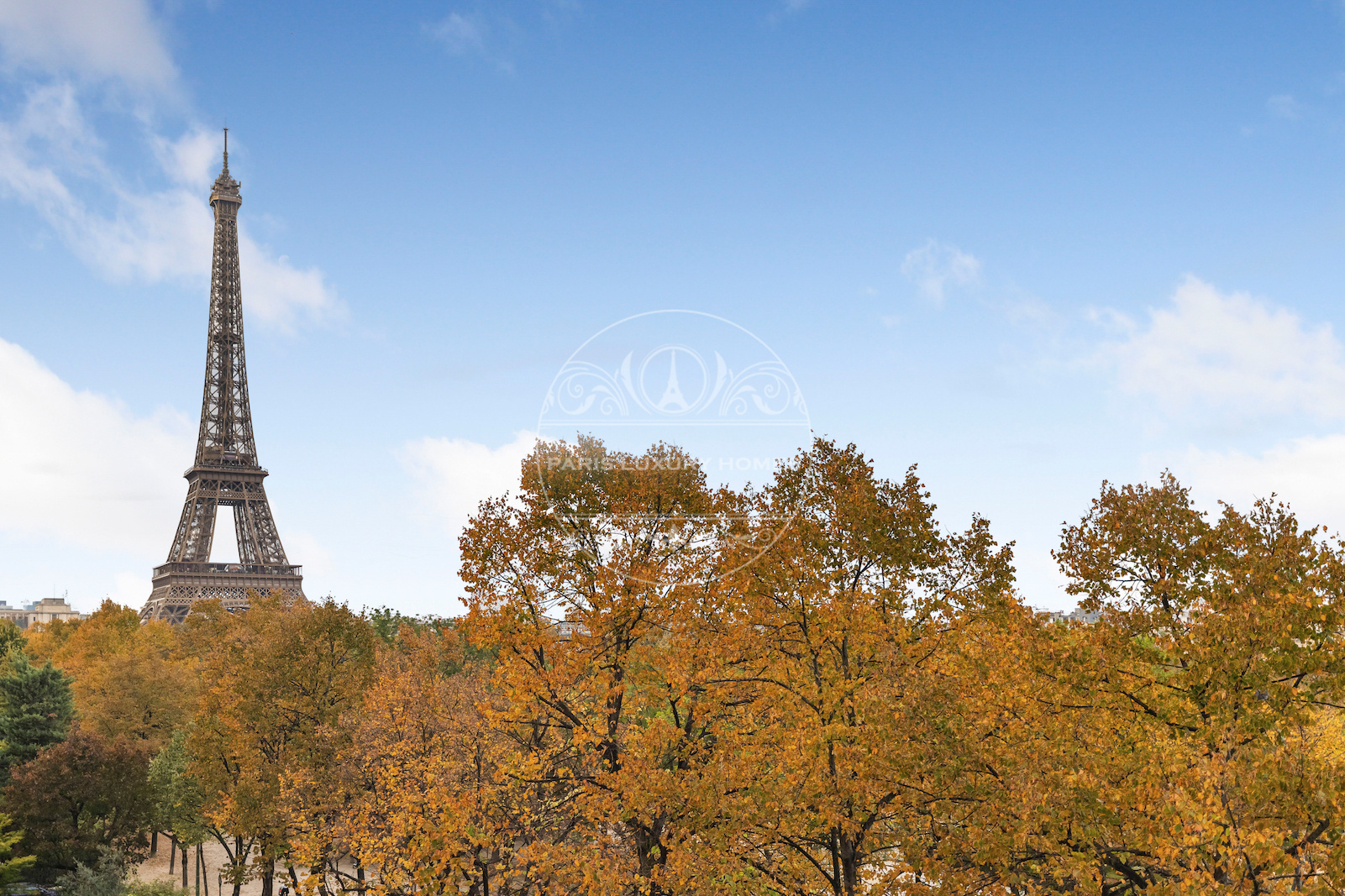 Photo Appartement de prestige avec balcon, vue Tour Eiffel et inva image 2/6