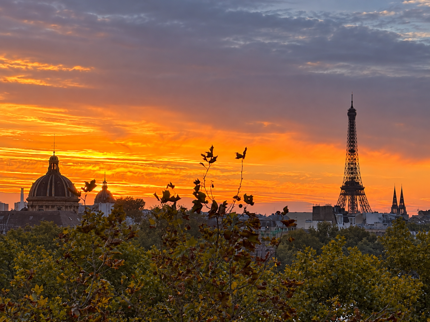 Agence immobilière de PARIS LUXURY HOMES - PARIS LUXURY HOMES