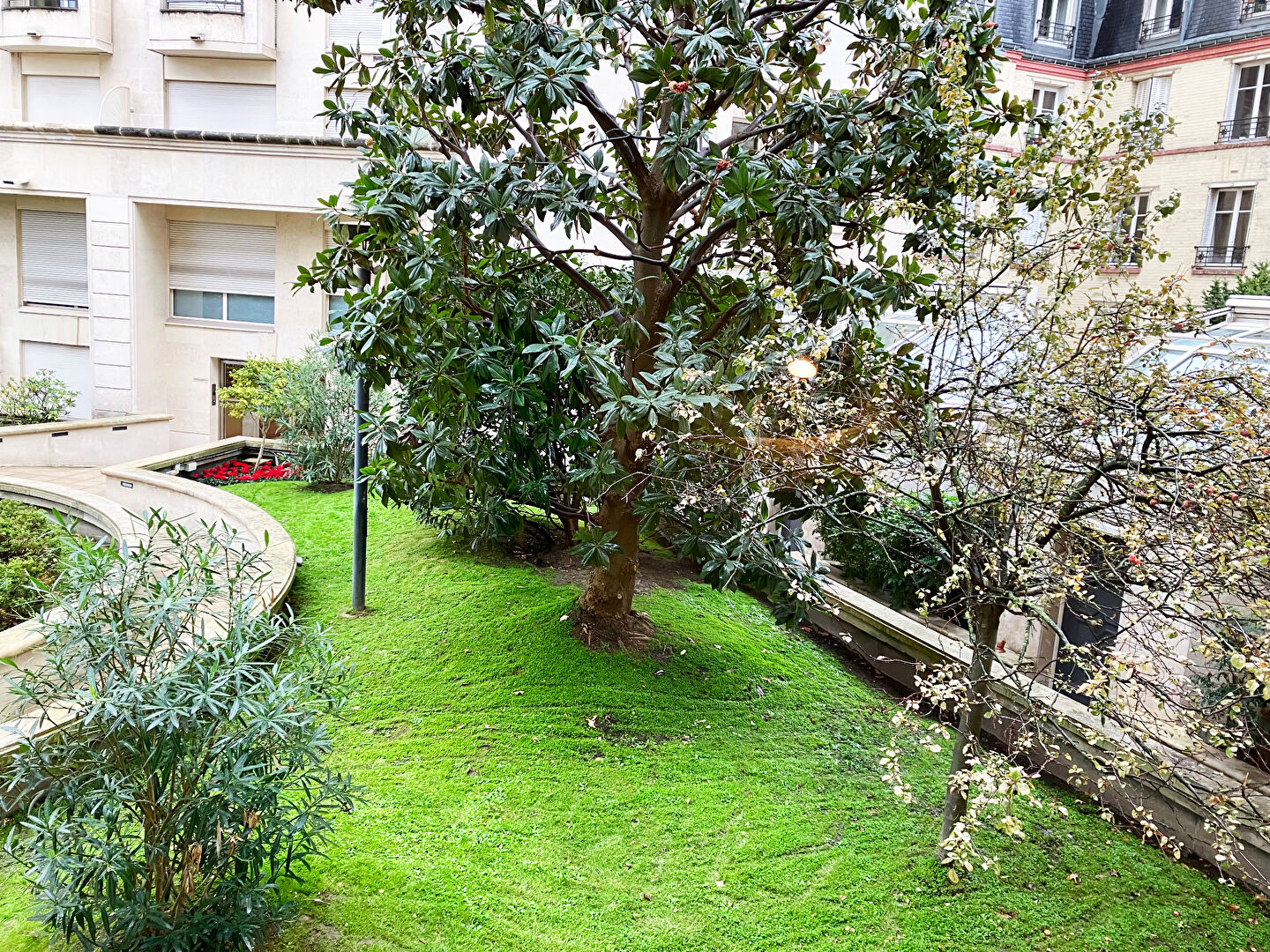 Photo Grand studio 38 m2 Excellant état 2ème étage avec vue sur jardin image 6/6