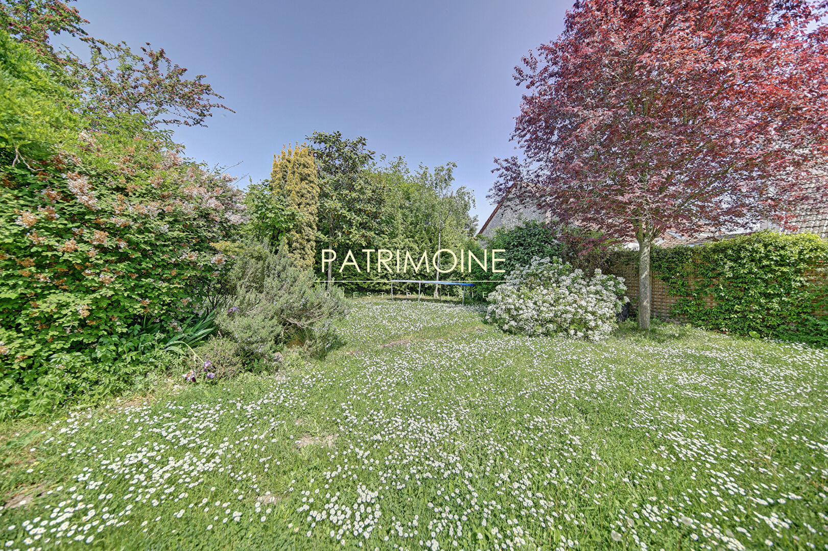 Photo Maison Saint Nom La Breteche 6 pièce(s) 240 m2 image 3/6