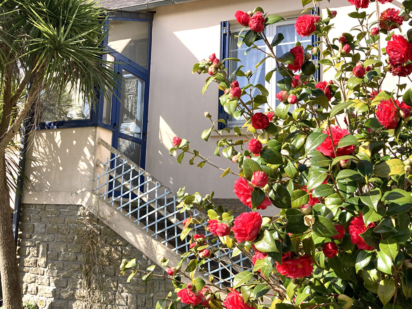 Agence immobilière de Les pépites de l'immobilier- Olivier Queric - Les pépites de l'immobilier - Olivier Queric
