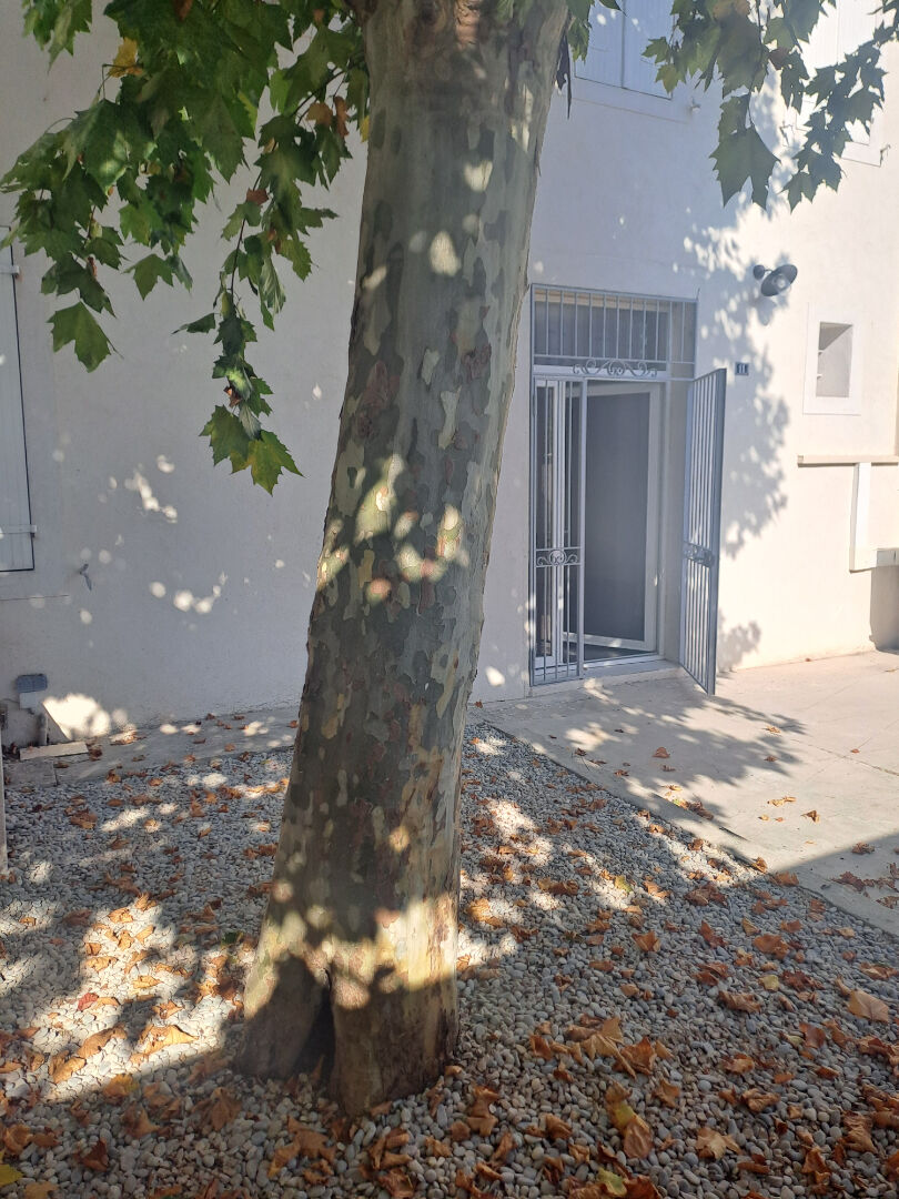 Photo Maison T3  rénovée de 73m2 avec cour. image 3/6