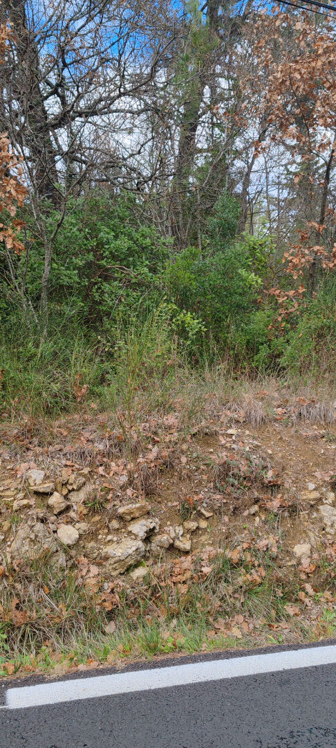 Photo Domaine forestier Auriol  14 000m² image 2/2