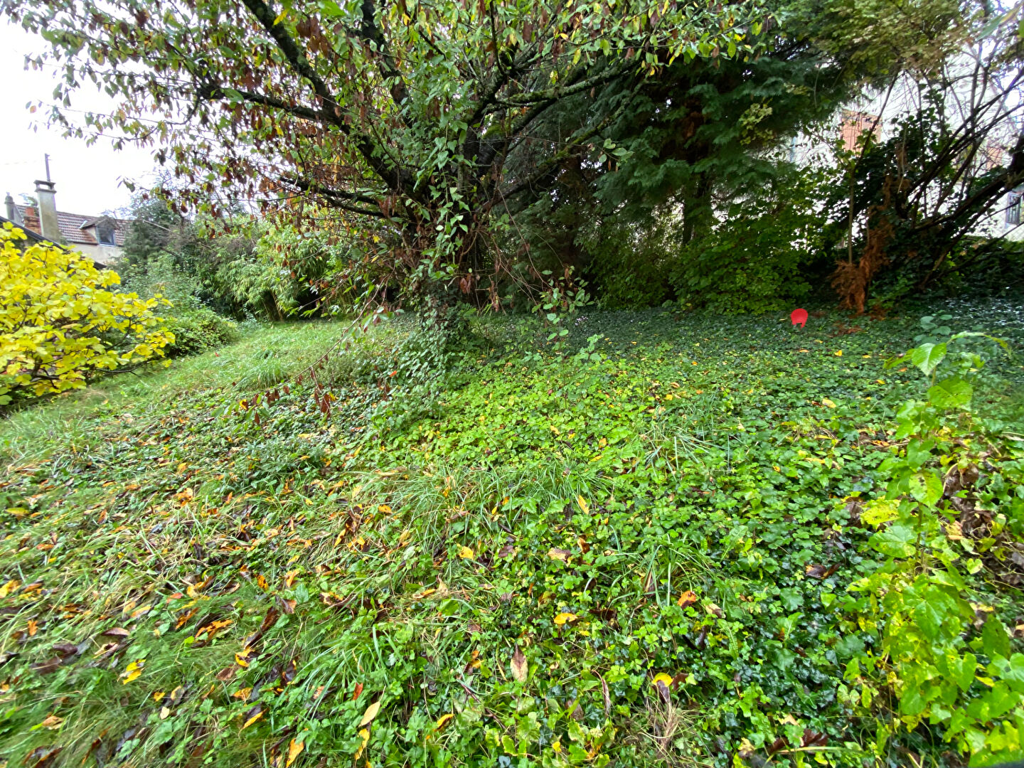 TERRAIN CONSTRUCTIBLE MARLY LE ROI - 510 m2