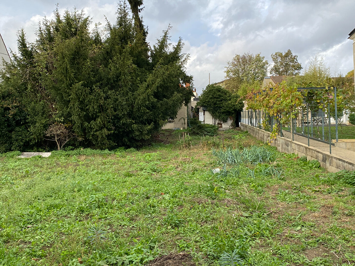 Photo Maison sur terrain constructible et divisible 810 m2 image 3/5