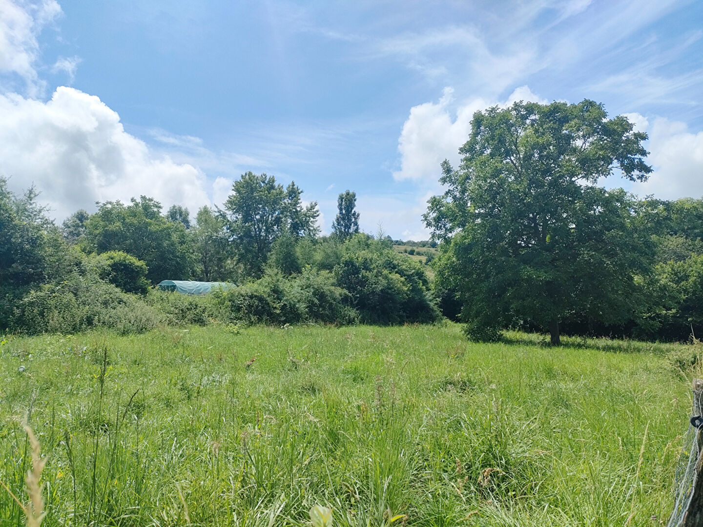 Photo Terrain à batir 1523 m2 image 2/3