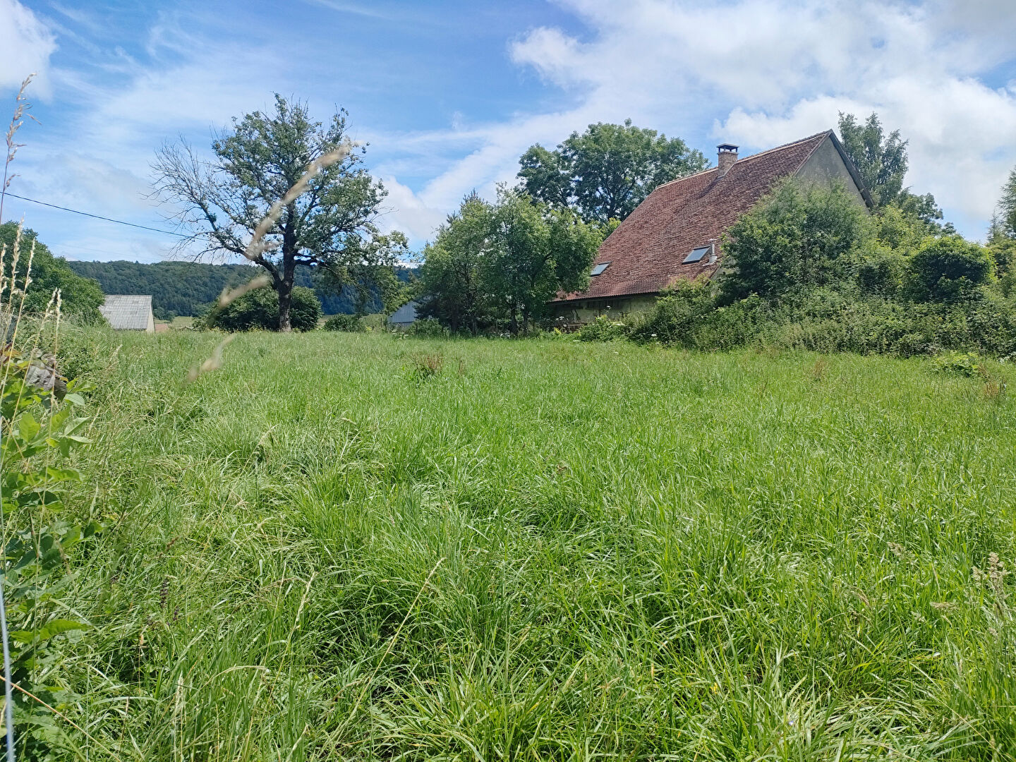 Photo Terrain à batir 1523 m2 image 3/3