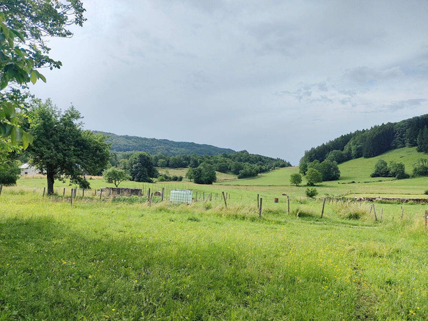 Photo TERRAIN 1500m2 en partie constructible image 2/5