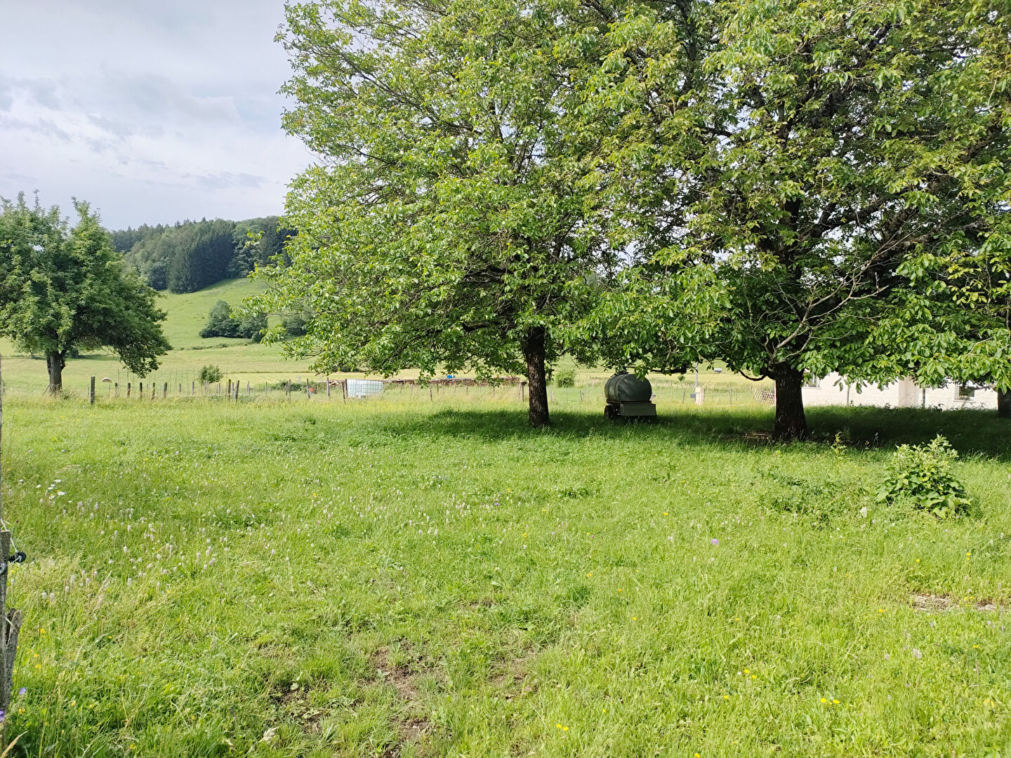 Photo TERRAIN 1500m2 en partie constructible image 3/5