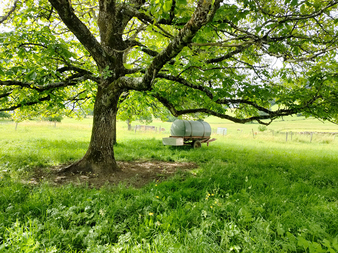 Photo TERRAIN 1500m2 en partie constructible image 4/5