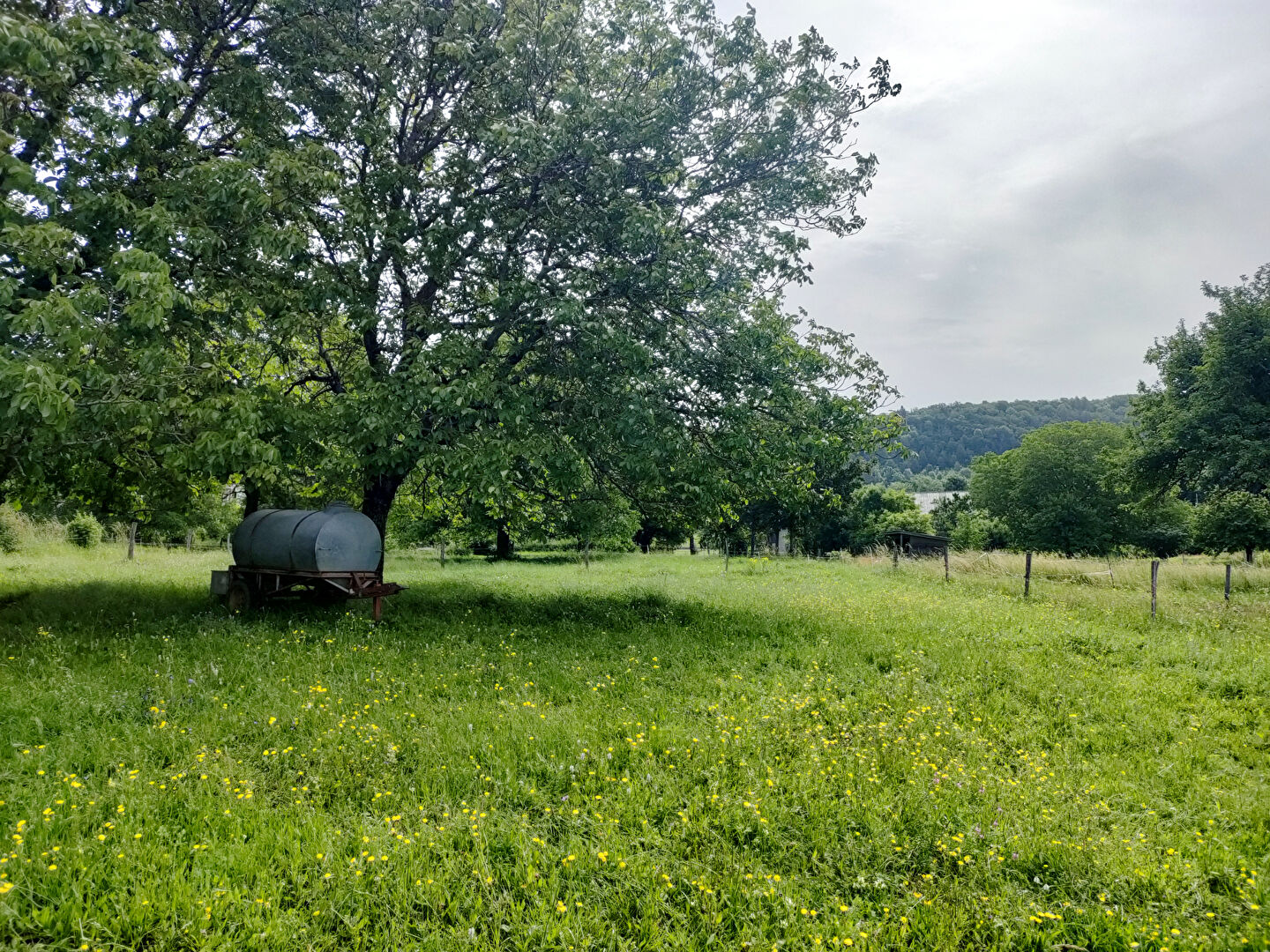 Photo TERRAIN 1500m2 en partie constructible image 5/5