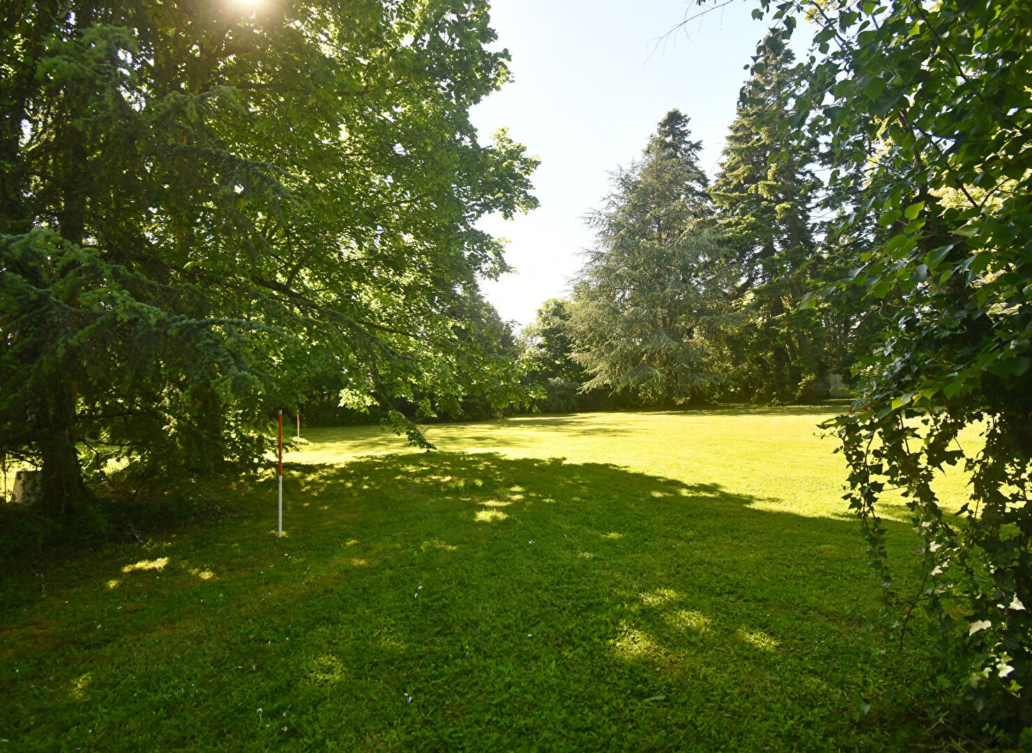 Photo TERRAIN A BATIR LIBRE CONSTRUCTEUR - DARDILLY image 2/4