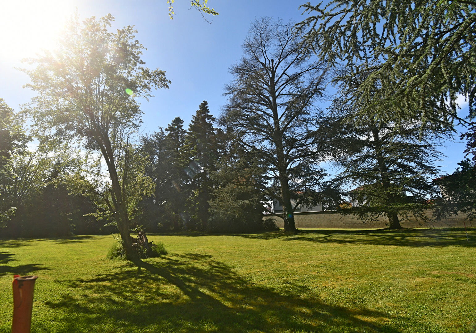 Photo TERRAIN A BATIR LIBRE CONSTRUCTEUR - DARDILLY image 3/4