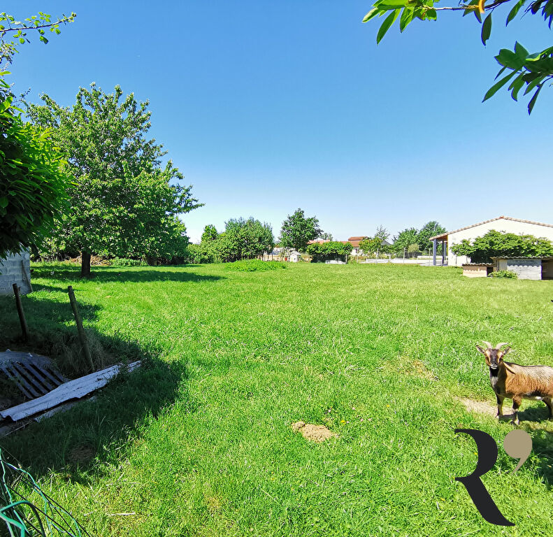 Photo Terrain 2000 m² viabilisé image 2/3