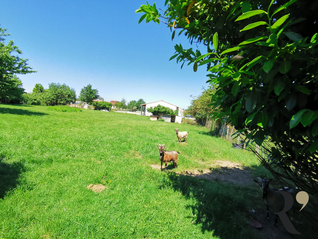 Photo Terrain 2000 m² viabilisé image 3/3