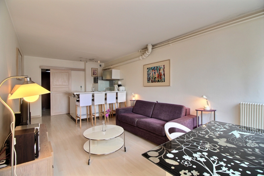 Image 3 de Location Appartement 30m2 Paris 15