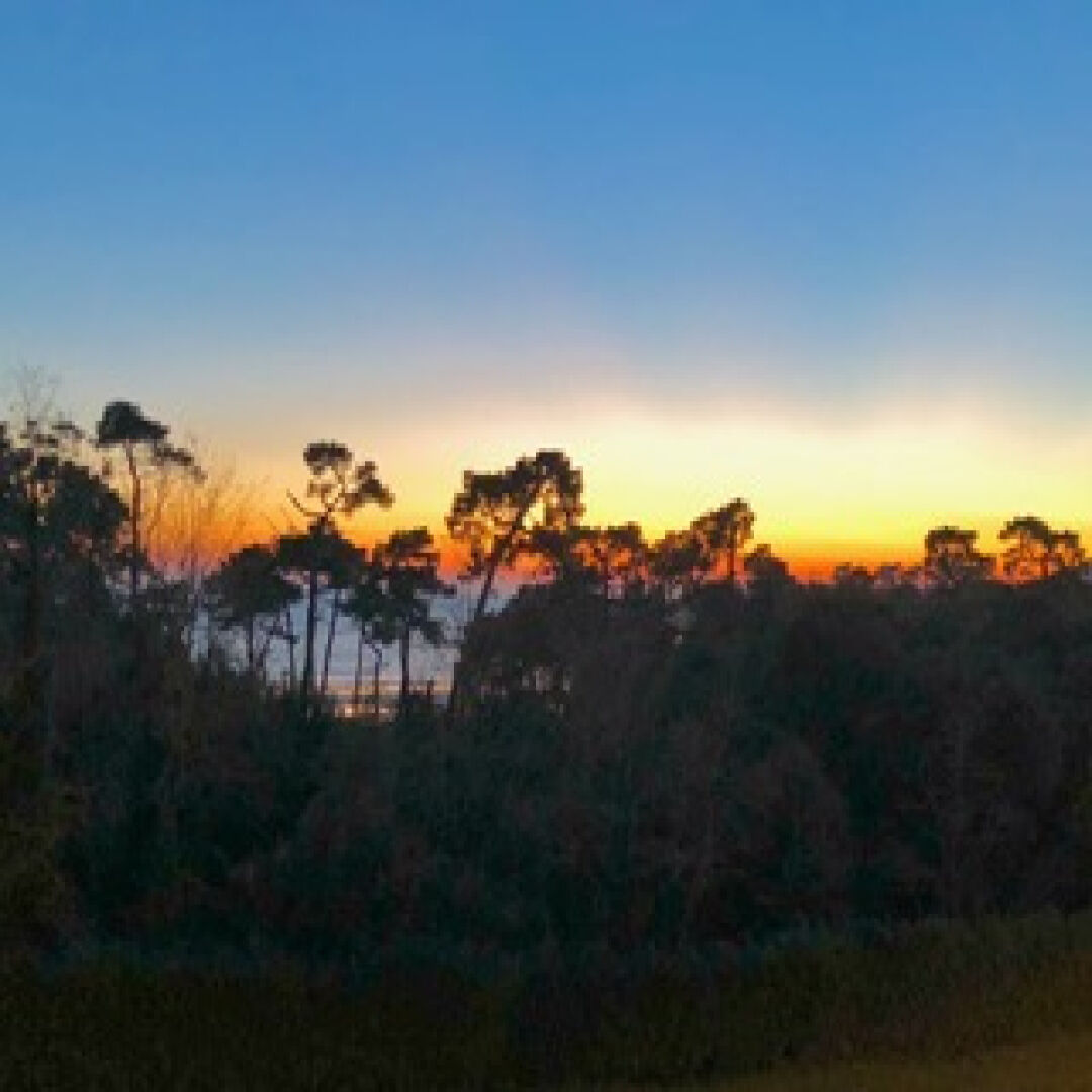 Agence immobilière de ROYAN IMMOBILIER - ROYAN IMMOBILIER