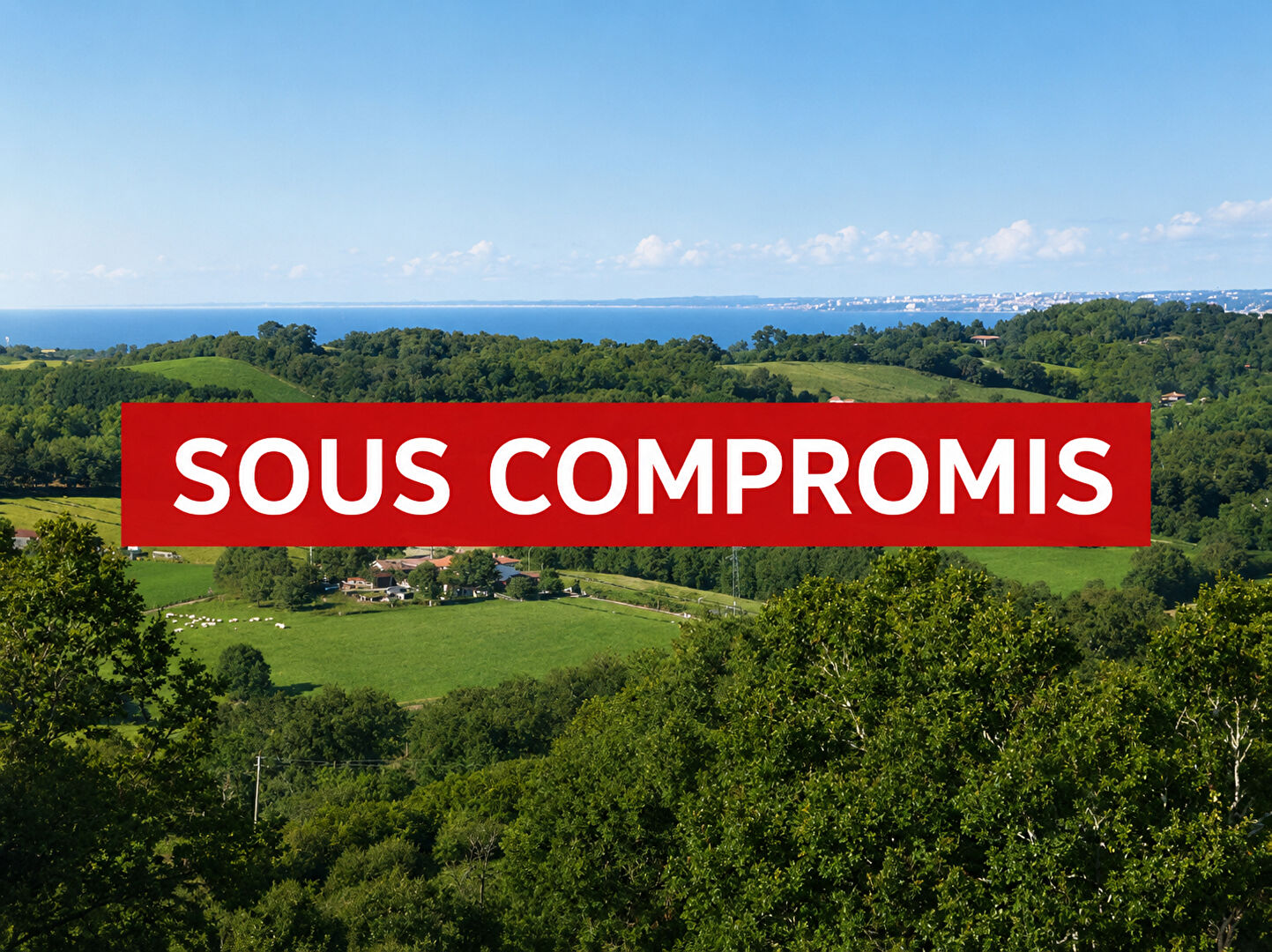 Agence immobilière de RPI IMMOBILIER Hendaye cedex - RPI IMMOBILIER