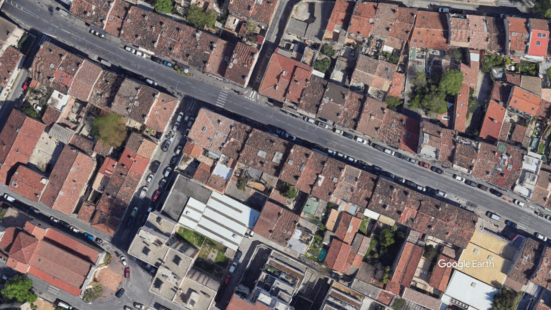 Photo Appartement - Capelette / Marseille 10 image 1/5