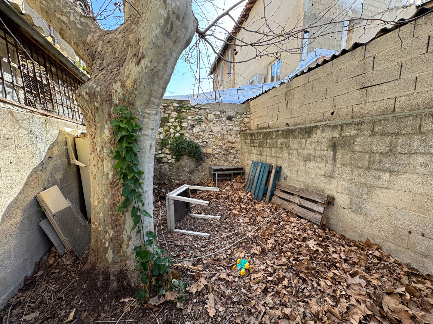 Photo Appartement - Capelette / Marseille 10 image 2/5