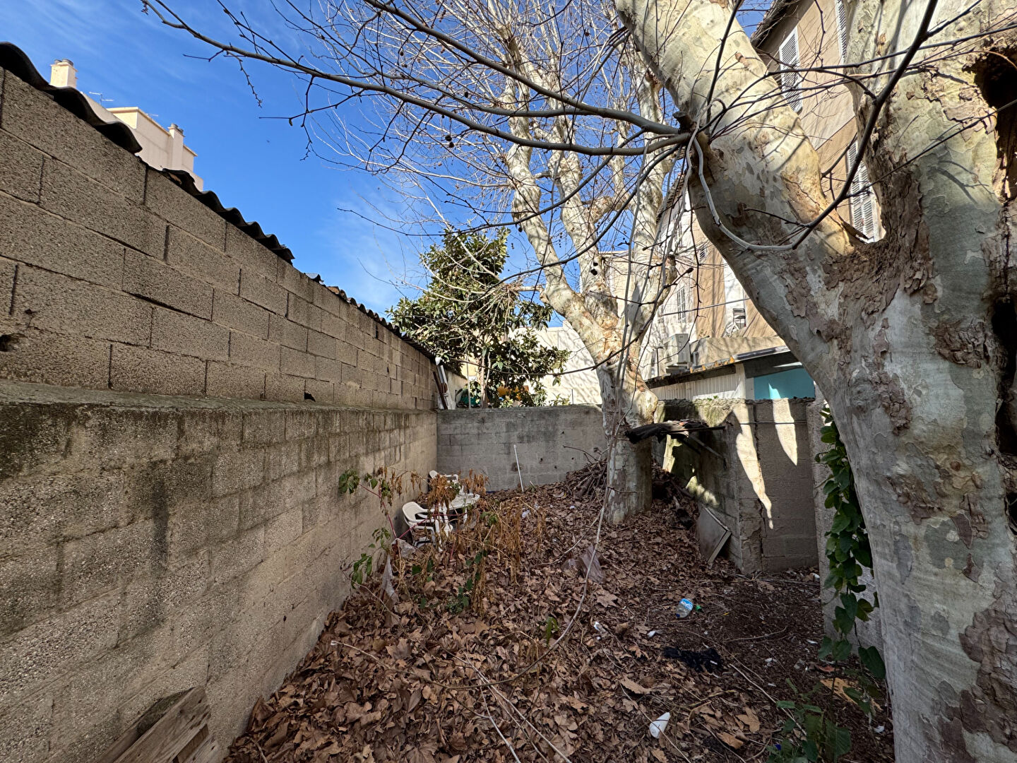 Photo Appartement - Capelette / Marseille 10 image 3/5