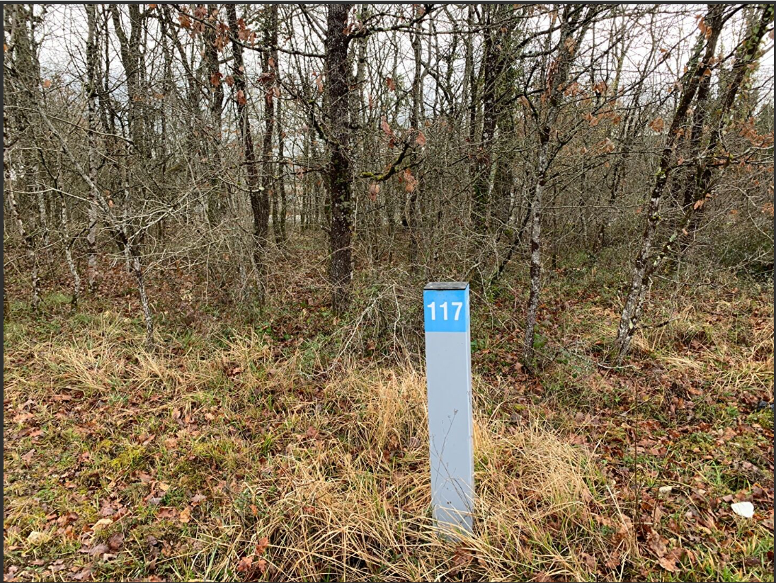 Terrain  1302 m2 à Mornac (Charente)