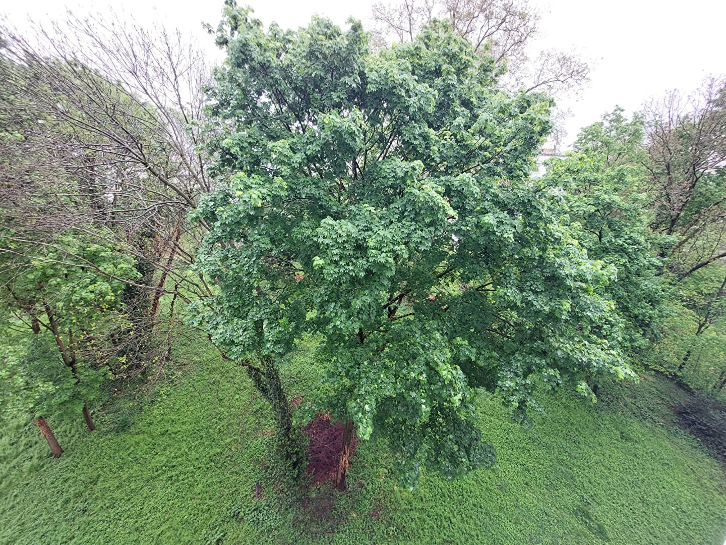 Photo T3_TASSIN image 4/6