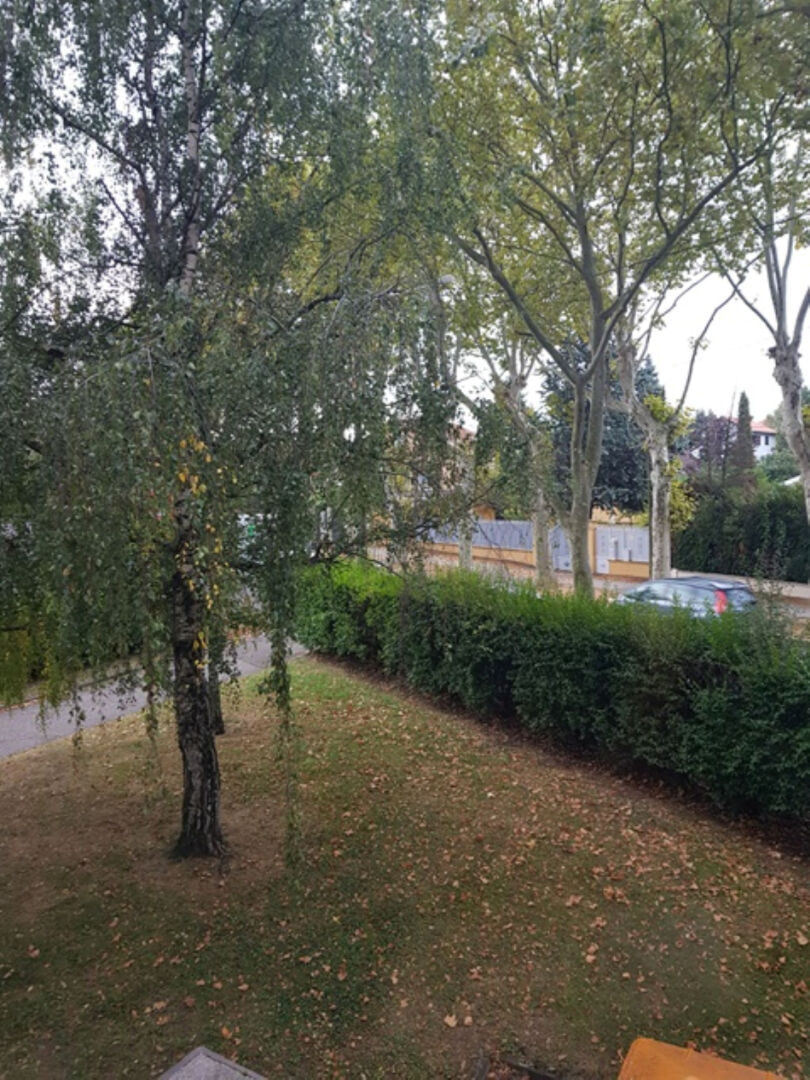 Photo T1_RILLIEUXLAPAPE image 1/4