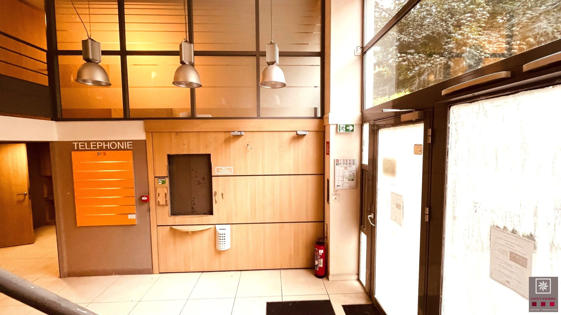 Villeurbanne Cours Émile ZOLA Local Commercial