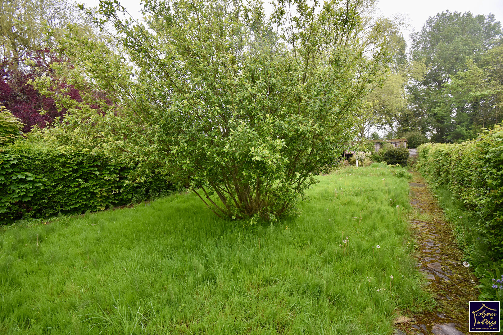 Photo Semi plain-pied 3 chambres COULOGNE image 3/4