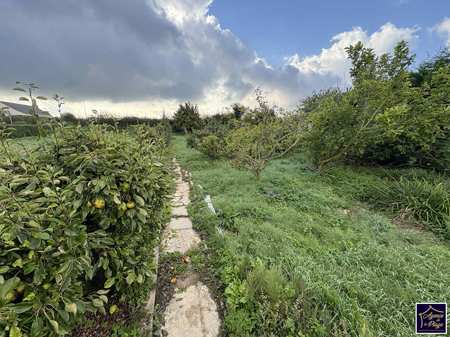 Photo Maison Hames Boucres 184 m2 image 6/6