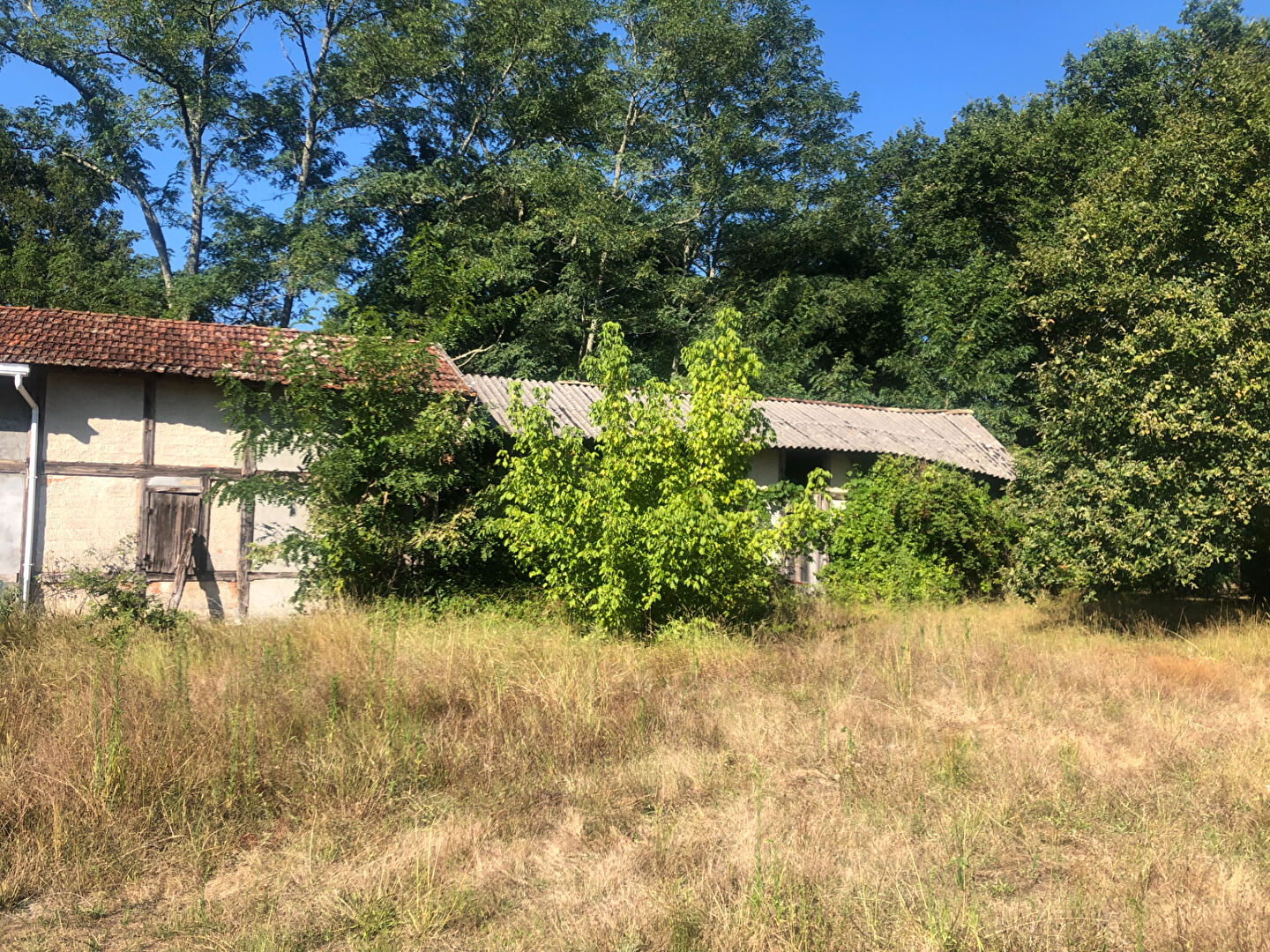 Agence immobilière de SDH Invest Pissos - SDH Invest
