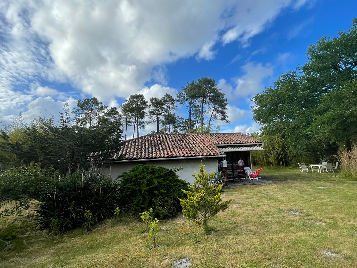 Agence immobilière de SDH Invest Pissos - SDH Invest