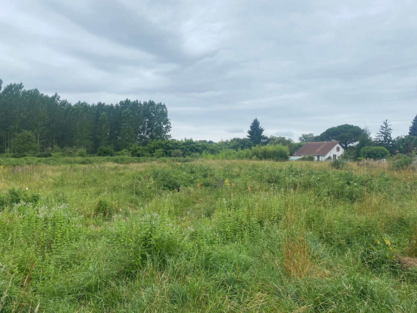 Agence immobilière de SDH Invest Pissos - SDH Invest