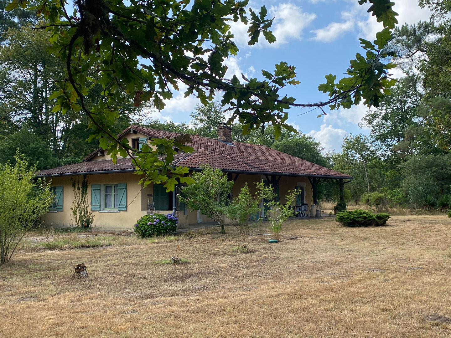 Agence immobilière de SDH Invest Pissos - SDH Invest