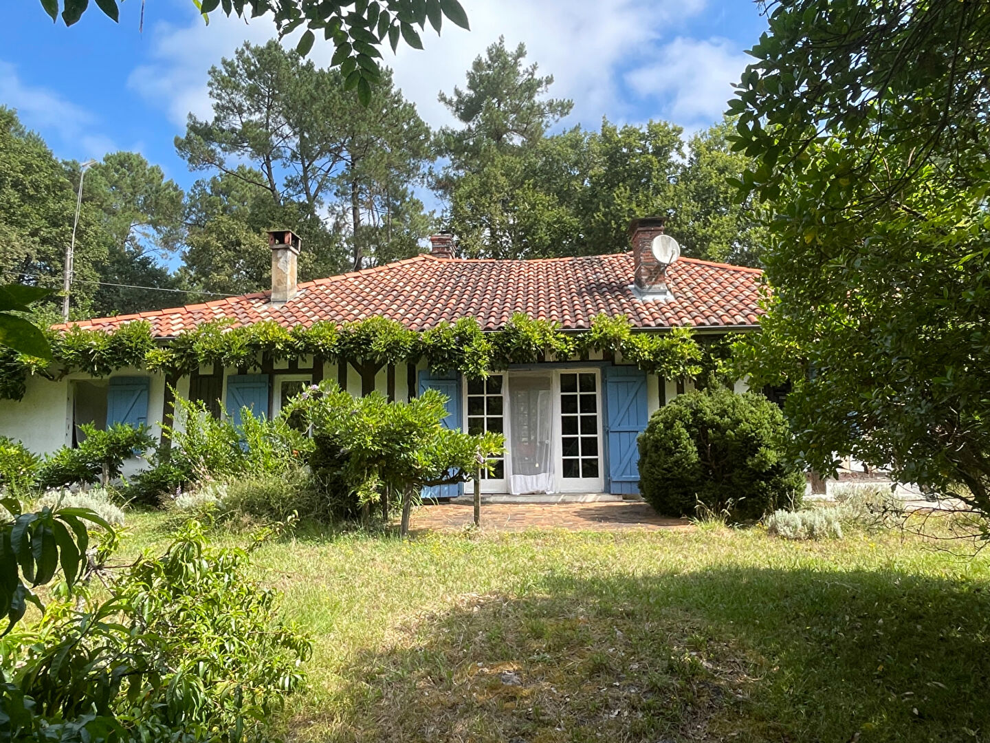 Agence immobilière de SDH Invest Pissos - SDH Invest